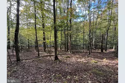 Lots 7 & 8 (2.57 Ac) Valley Road, Oakland, MD 21550 - Photo 10