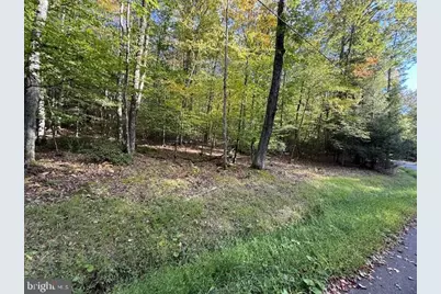 Lots 7 & 8 (2.57 Ac) Valley Road, Oakland, MD 21550 - Photo 8