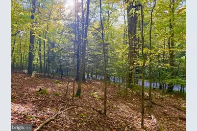 Lots 7 & 8 (2.57 Ac) Valley Road, Oakland, MD 21550 - Photo 2