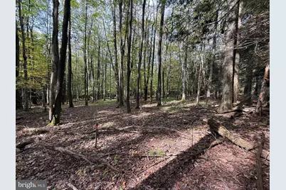 0 Lake Shore Drive, Oakland, MD 21550 - Photo 18