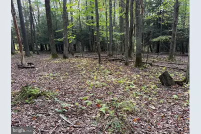 0 Lake Shore Drive, Oakland, MD 21550 - Photo 14