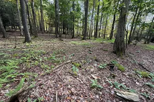 0 Lake Shore Dr, Oakland, MD 21550 - Photo 1