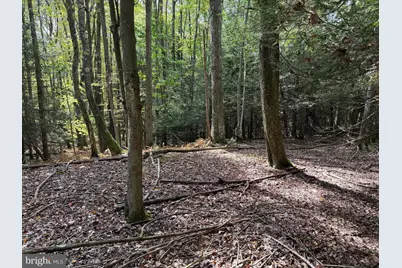 0 Lake Shore Drive, Oakland, MD 21550 - Photo 22