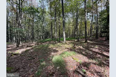 0 Lake Shore Drive, Oakland, MD 21550 - Photo 6