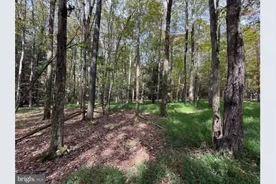 0 Lake Shore Drive, Oakland, MD 21550 - Photo 10