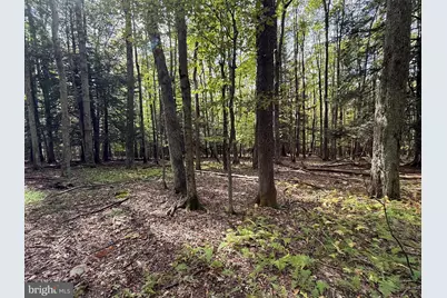 0 Lake Shore Drive, Oakland, MD 21550 - Photo 16