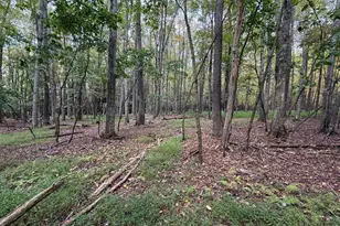 0 Lake Shore Dr, Oakland, MD 21550 - Photo 1