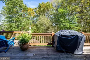 329 Lemley Dr, Oakland, MD 21550 - Photo 40