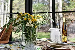 282 McComas Beach Terrace, Oakland, MD 21550 - Photo 50