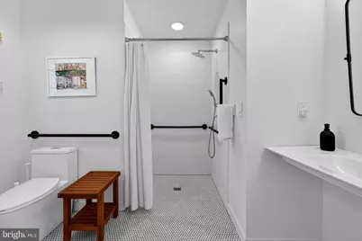 282 McComas Beach Terrace, Oakland, MD 21550 - Photo 110