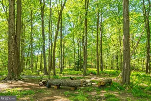 1286 Limpopo Ln, Mc Henry, MD 21541 - Photo 30