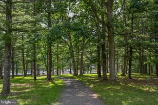 144 Deer Run Ln, Swanton, MD 21561 - Photo 62