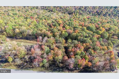 157 Fork Run Trail, Mc Henry, MD 21541 - Photo 6