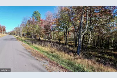 157 Fork Run Trail, Mc Henry, MD 21541 - Photo 4