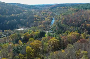 63 Wallman Rd, Oakland, MD 21550 - Photo 58