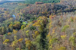 63 Wallman Rd, Oakland, MD 21550 - Photo 4