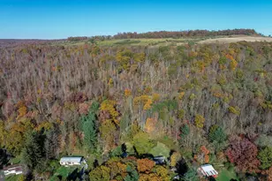 63 Wallman Rd, Oakland, MD 21550 - Photo 60