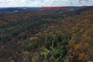 725 Candle Tree Ln, Swanton, MD 21561 - Photo 30