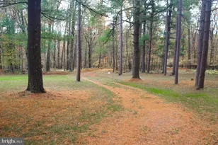 725 Candle Tree Ln, Swanton, MD 21561 - Photo 8