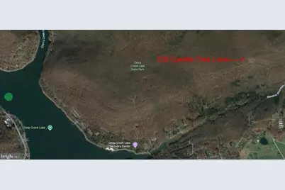 725 Candle Tree Lane, Swanton, MD 21561 - Photo 2