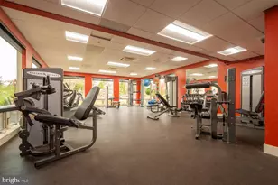 290 Marsh Hill Rd, Mc Henry, MD 21541 - Photo 18