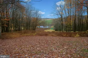 210 Lakeview Dr, Grantsville, MD 21536 - Photo 2