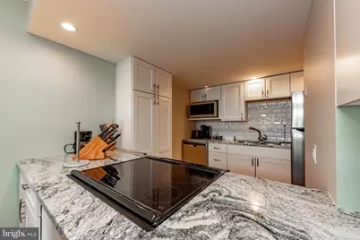 20160 Garrett Highway #F501-701, Oakland, MD 21550 - Photo 10