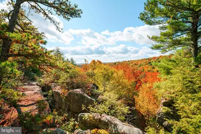 Lot 40 Big Piney Drive, Oakland, MD 21550 - Photo 6