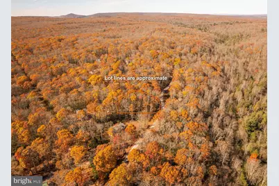 Lot 40 Big Piney Drive, Oakland, MD 21550 - Photo 4