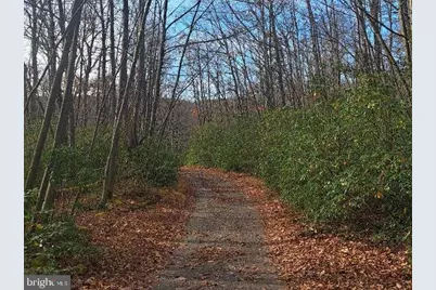 Fox Tail Road, Oakland, MD 21550 - Photo 2