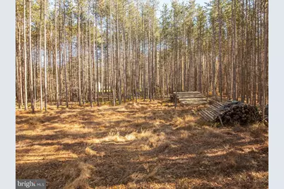 170 San Francisco Street, Oakland, MD 21550 - Photo 8