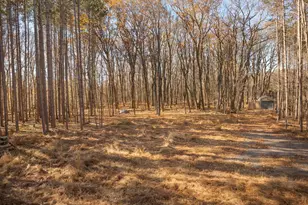 170 San Francisco St, Oakland, MD 21550 - Photo 10