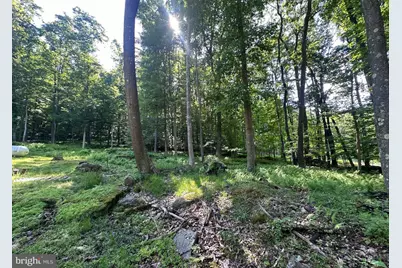 98 Bear Run Road, Oakland, MD 21550 - Photo 8