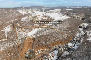 Wes Mountain Trail, Mc Henry, MD 21541 - Photo 1