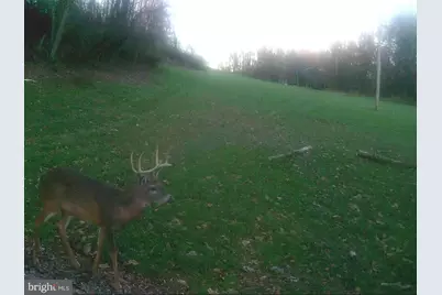 Wes Mountain Trail, Mc Henry, MD 21541 - Photo 10