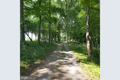 Wes Mountain Trail, Mc Henry, MD 21541 - Photo 8