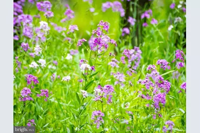 Wes Mountain Trail, Mc Henry, MD 21541 - Photo 22