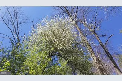 Wes Mountain Trail, Mc Henry, MD 21541 - Photo 6
