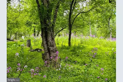 Wes Mountain Trail, Mc Henry, MD 21541 - Photo 20