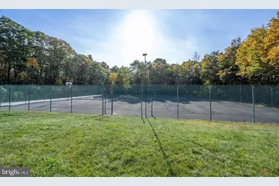 Rhododendron Drive, Oakland, MD 21550 - Photo 4