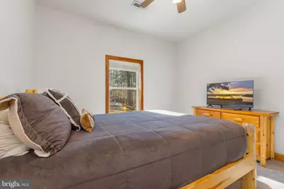 220 Woodlands Hill Lane, Oakland, MD 21550 - Photo 66