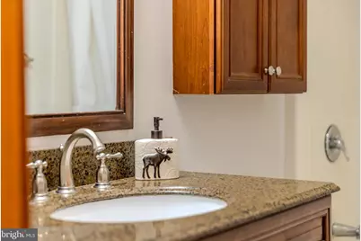 220 Woodlands Hill Lane, Oakland, MD 21550 - Photo 32