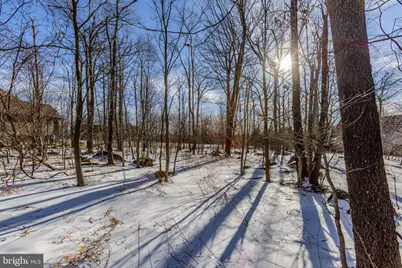 57 North Camp Road, Mc Henry, MD 21541 - Photo 24
