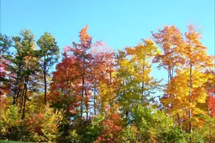 79 Marsh Hill Rd, Mc Henry, MD 21541 - Photo 48