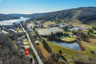 79 Marsh Hill Rd, Mc Henry, MD 21541 - Photo 2