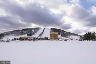 290 Marsh Hill Rd, Mc Henry, MD 21541 - Photo 28