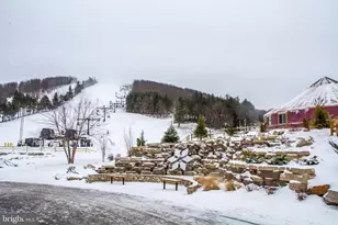 290 Marsh Hill Rd, Mc Henry, MD 21541 - Photo 22