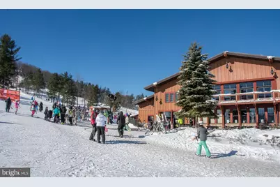 290 Marsh Hill Road #319C, Mc Henry, MD 21541 - Photo 32