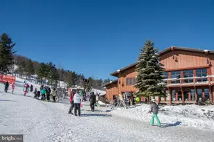 290 Marsh Hill Rd, Mc Henry, MD 21541 - Photo 32