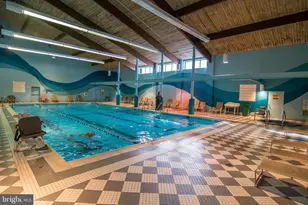 290 Marsh Hill, Mc Henry, MD 21541 - Photo 20